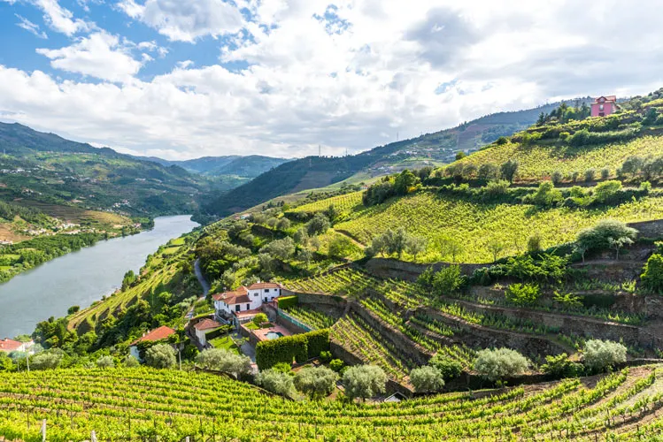 Douro Valley Escapade