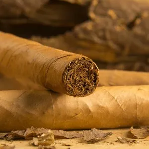 The Original Key West Cigar Factory