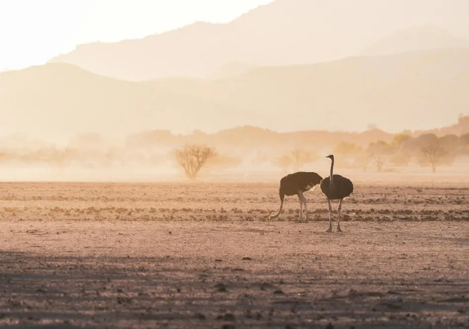 Damaraland