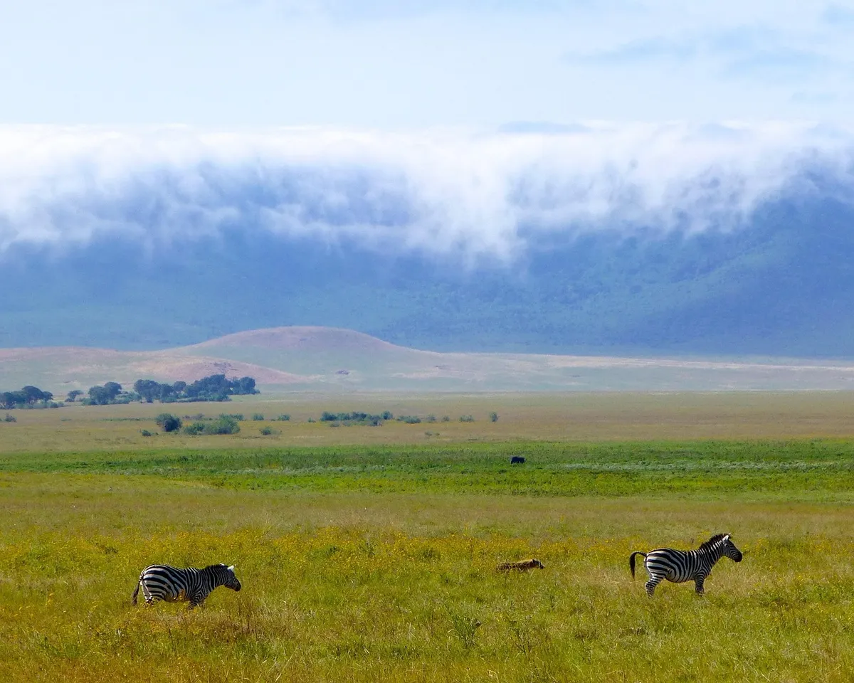 Tanzania Classic Safari