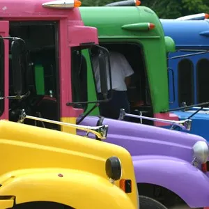 Public Transport