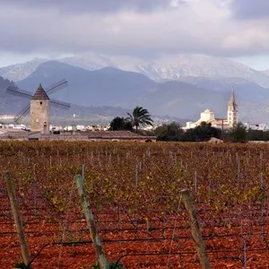 Binissalem Wine Village