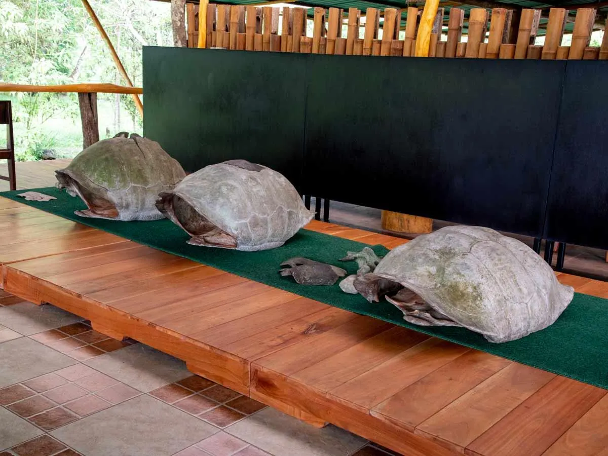 Galapagos Western Islands Aboard M/C EcoGalaxy