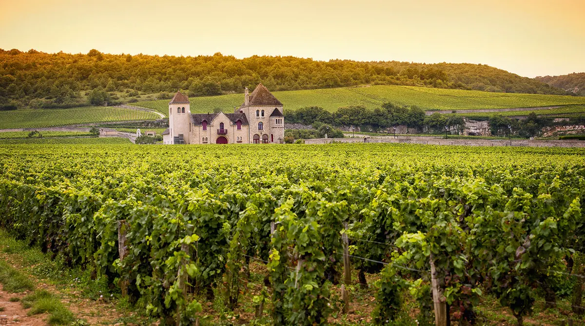 Paris Burgundy and Lyon Escapade