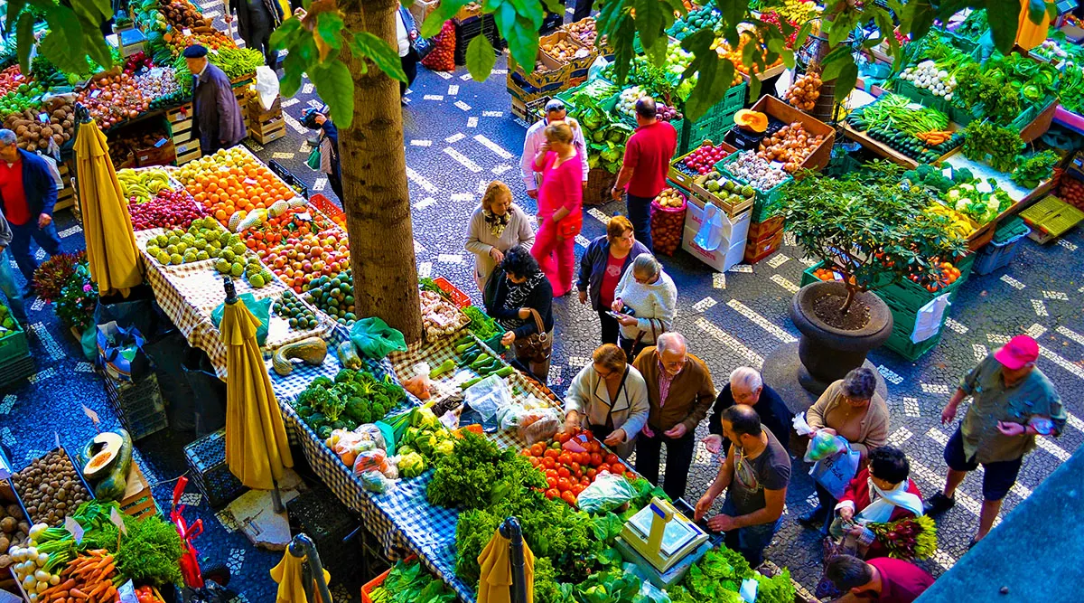 Madeira Island Escapade