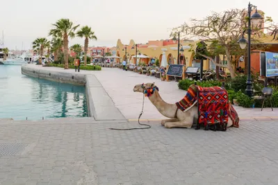 El Gouna Red Sea Escapade
