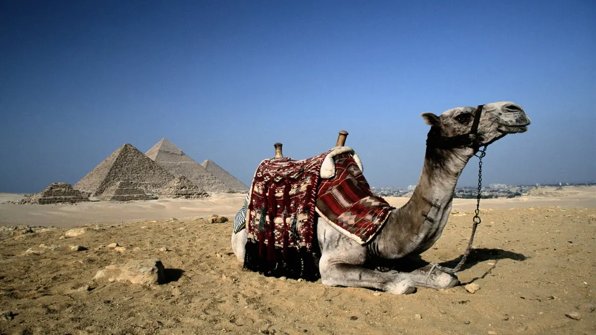 Glimpse of Egypt