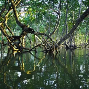Damas Estuary Boat Trip