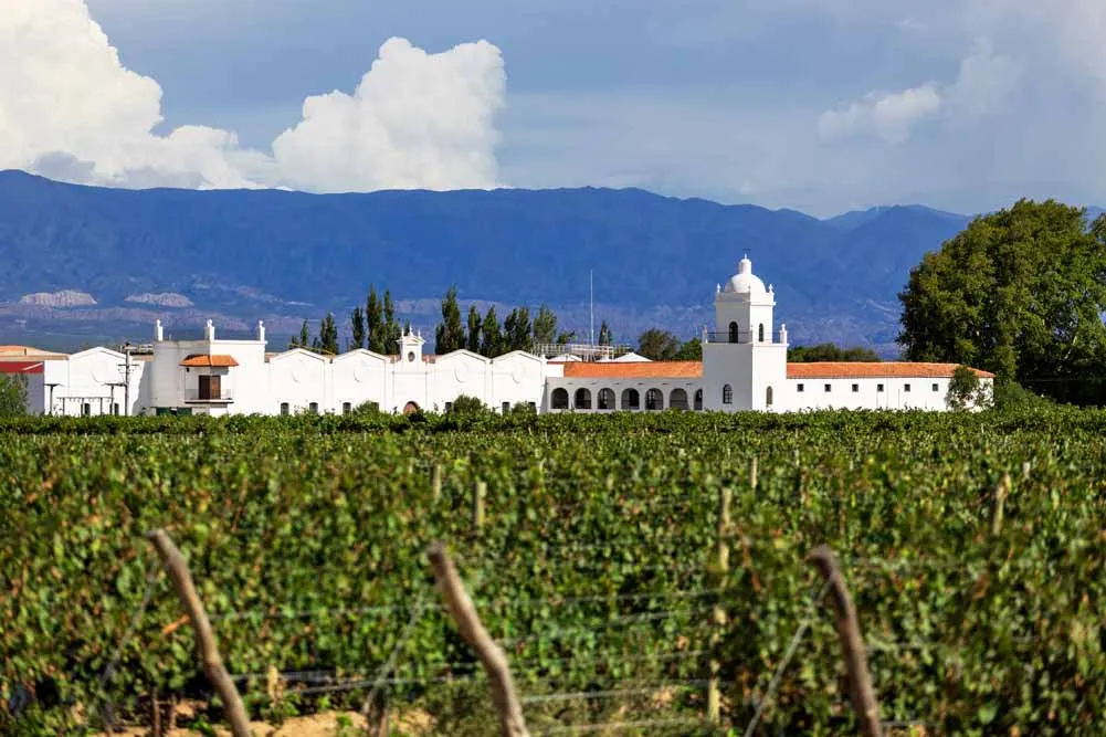 Argentina and Chile Wine Country Explorer