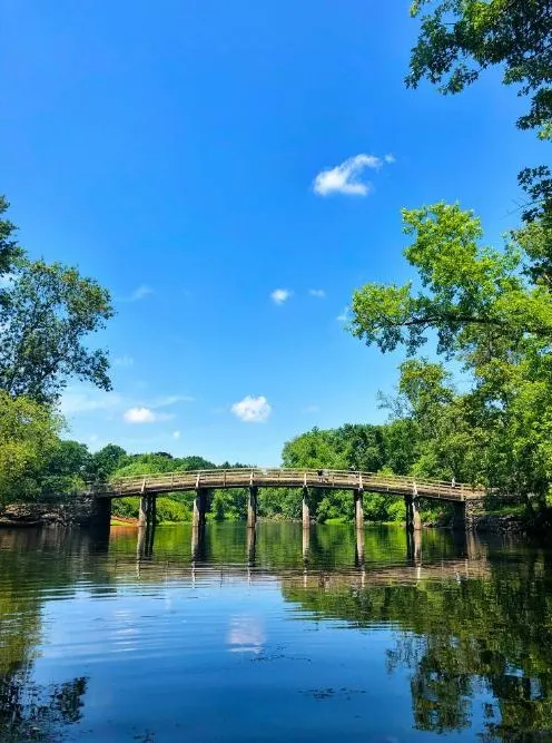 Lexington
