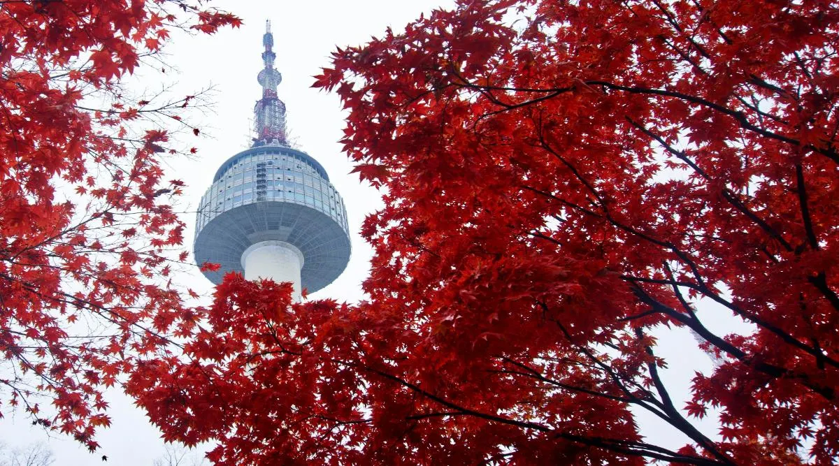 South Korea and Japan Explorer