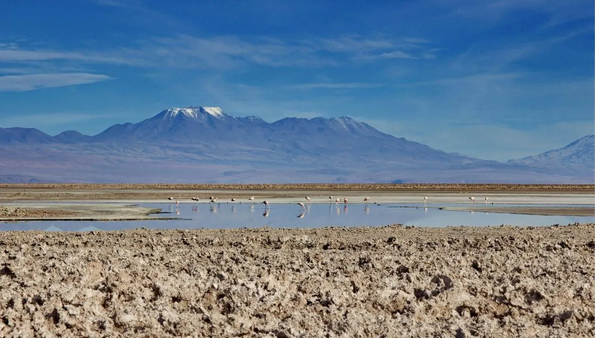 Astronomy Adventure in Chile