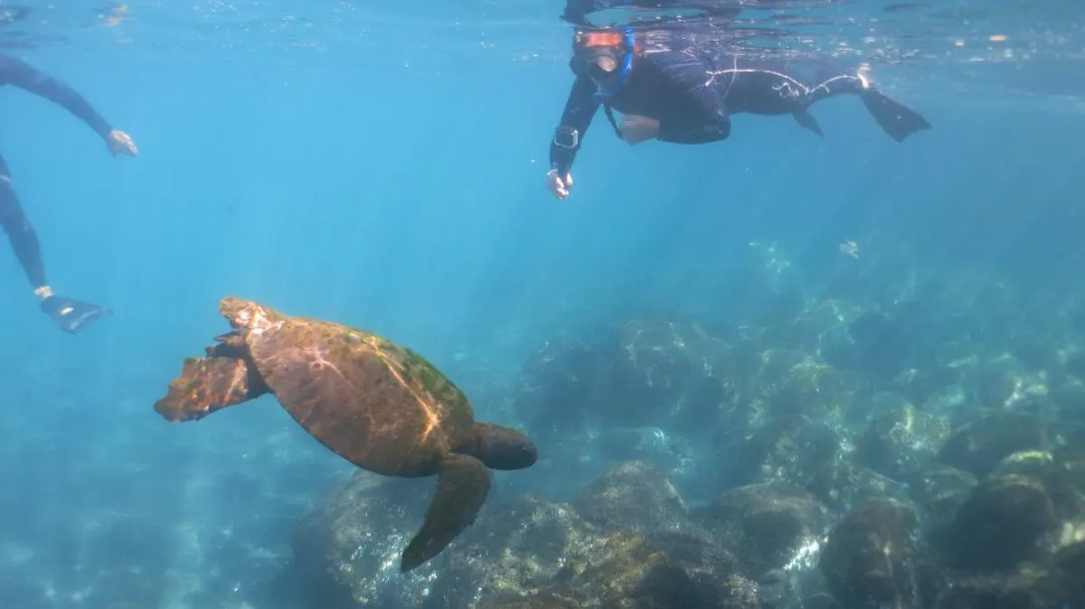 Galapagos Northern Route Six Days Aboard MC EcoGalaxy 