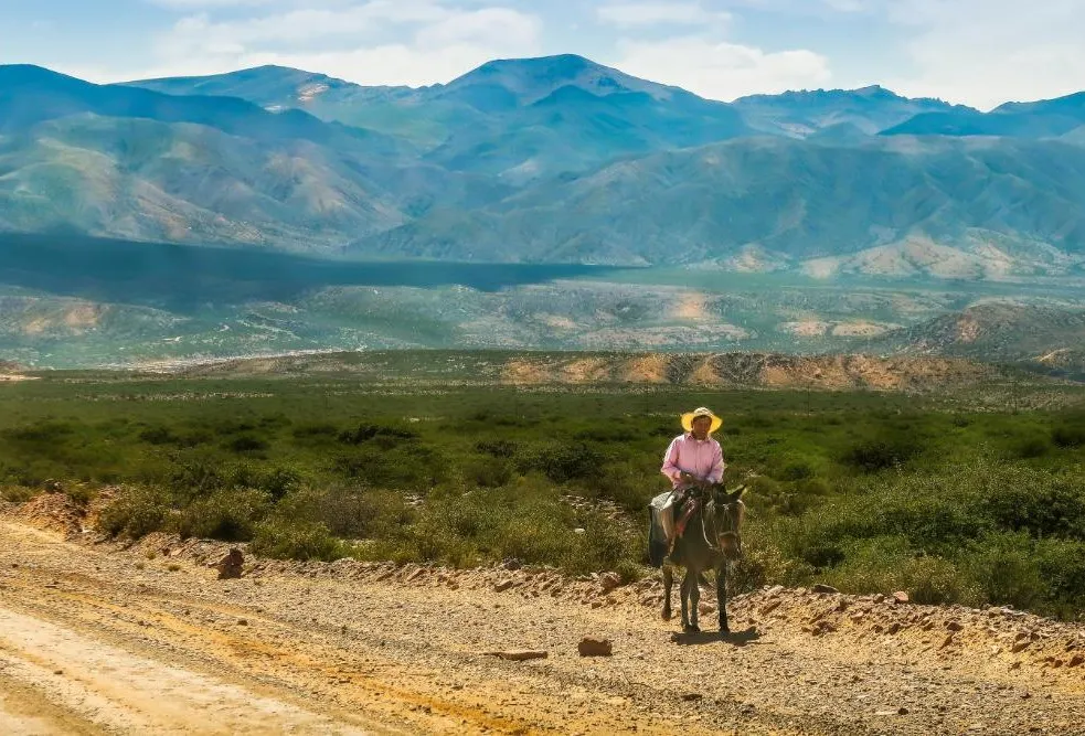 Argentina Horseback Explorer