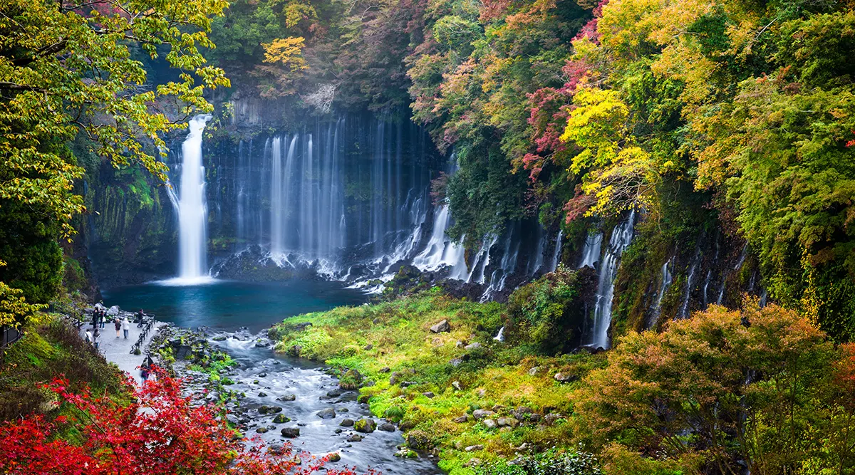 Jewels of Japan
