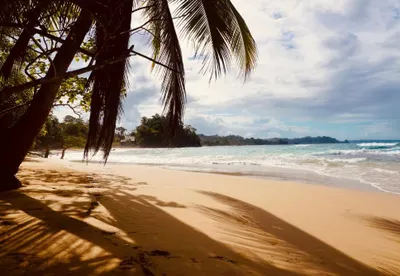 Bocas del Toro