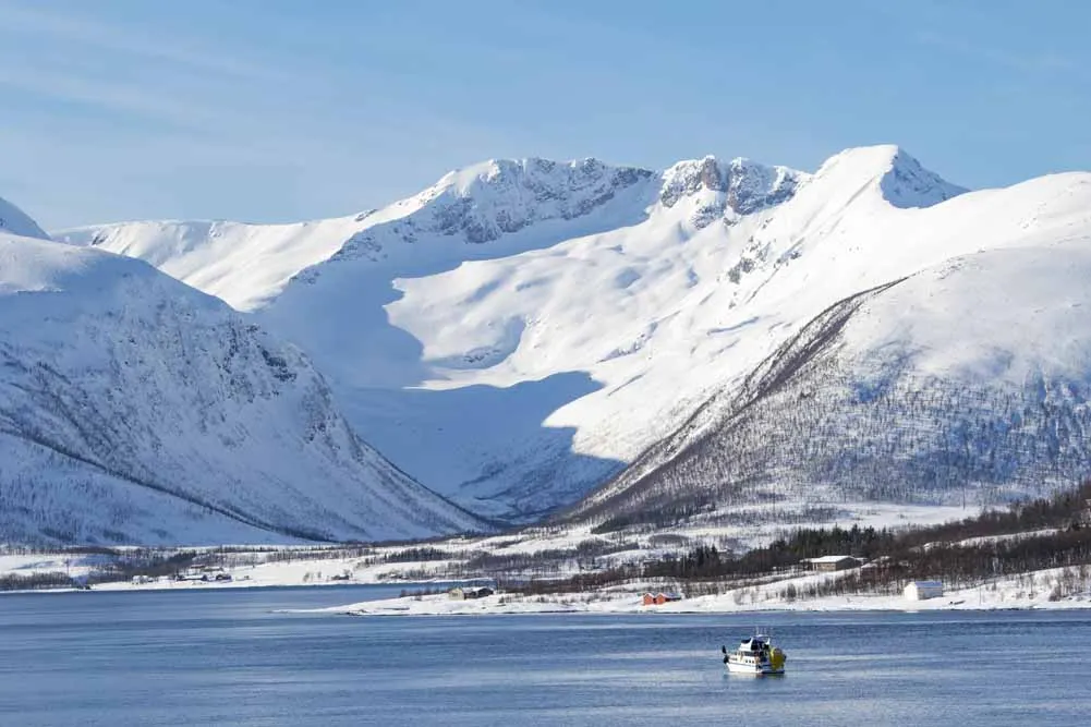 Norway's Winter Northern Lights Escapade
