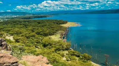 Treasures of Kenya
