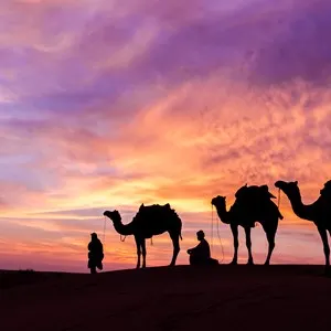 Abu Dhabi Desert Safari