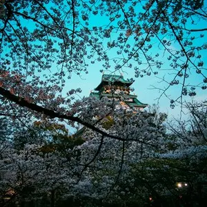 Best Time to Visit