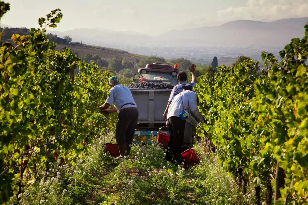 Enchanting Italy Self Drive Explorer