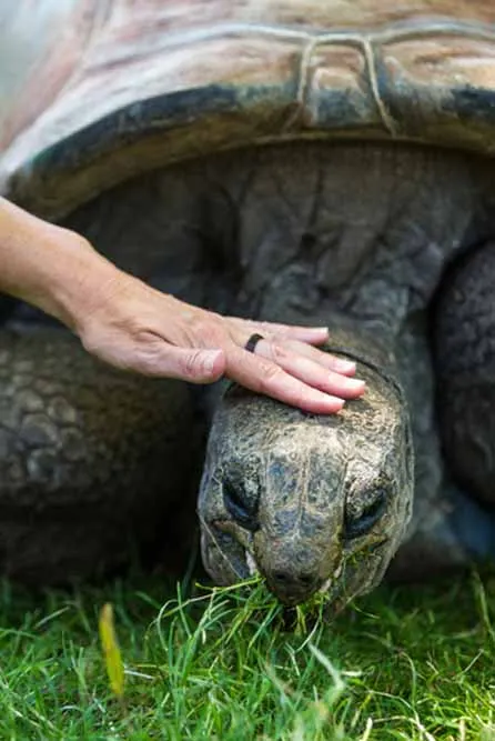 Island Hopping Escapade in the Galapagos Islands