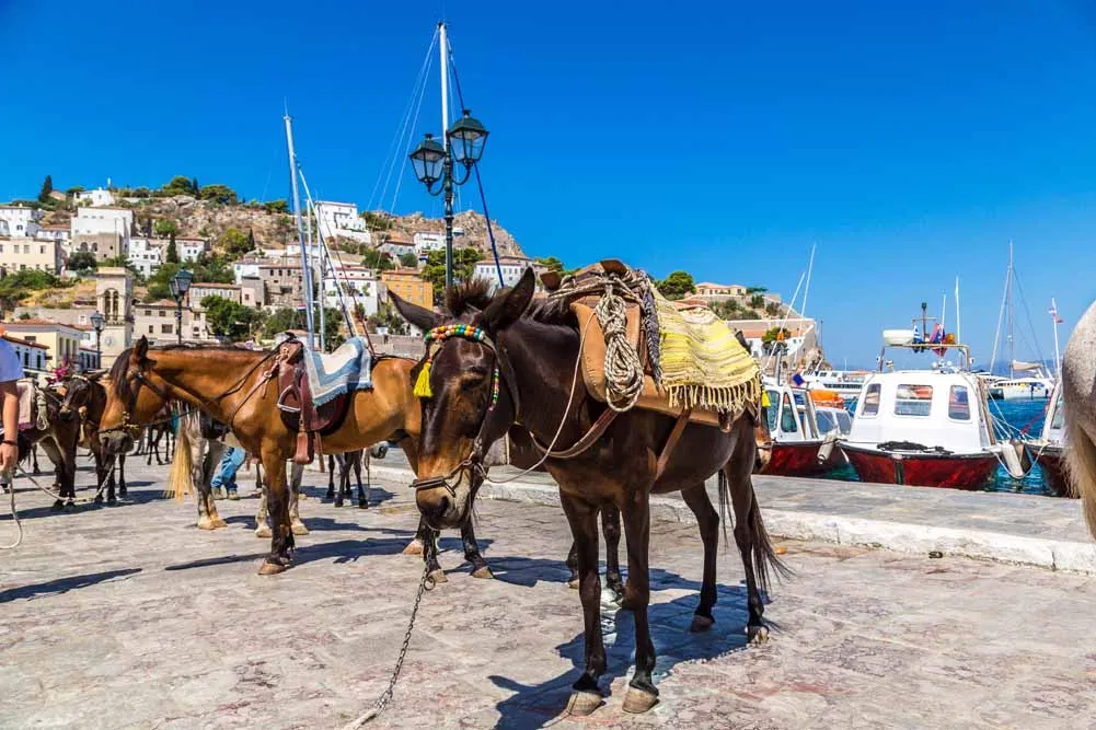 Memorable Athens City Escape