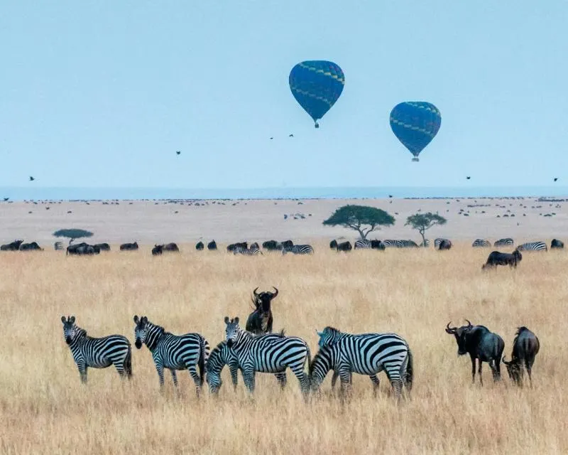 A Taste of Tanzania