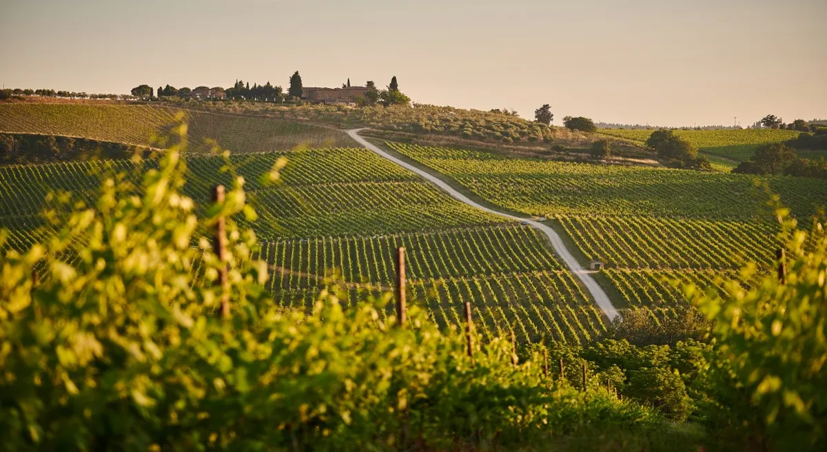 Rome Tuscany and Venice Self Drive Explorer