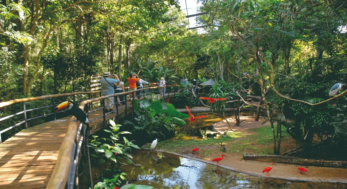 Grand Luxury Journey through Brazil
