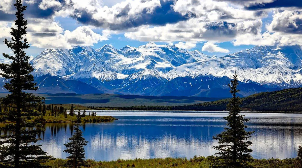 Denali National Park And Talkeetna Self Drive Explorer