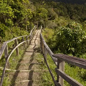 The scenic Tet Paul Nature Trail in St. Lucia