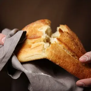 Male hands breaking freshly baked bread, closeup