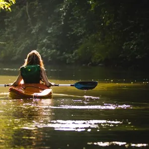 Kayaking in Mangrove Tunnels