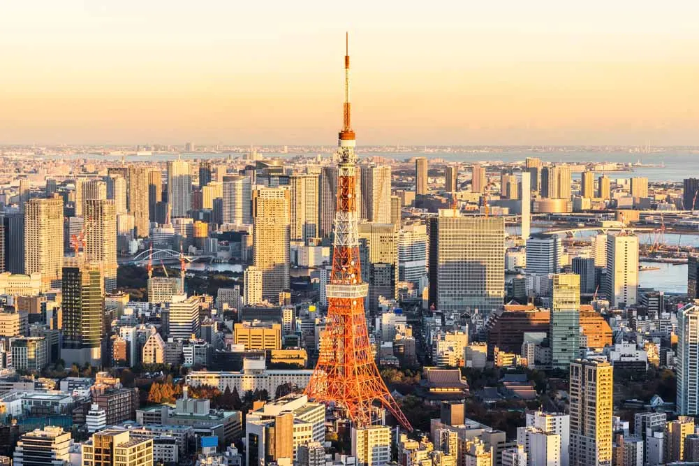Tokyo Discovery