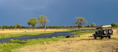 Linyanti Wildlife Reserve