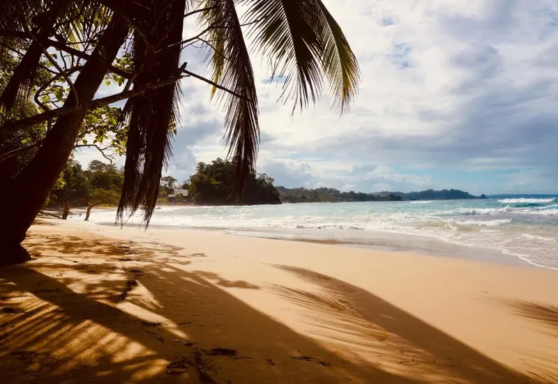 Bocas del Toro
