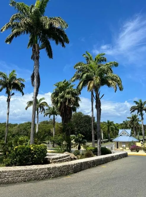 Saint Kitts & Nevis