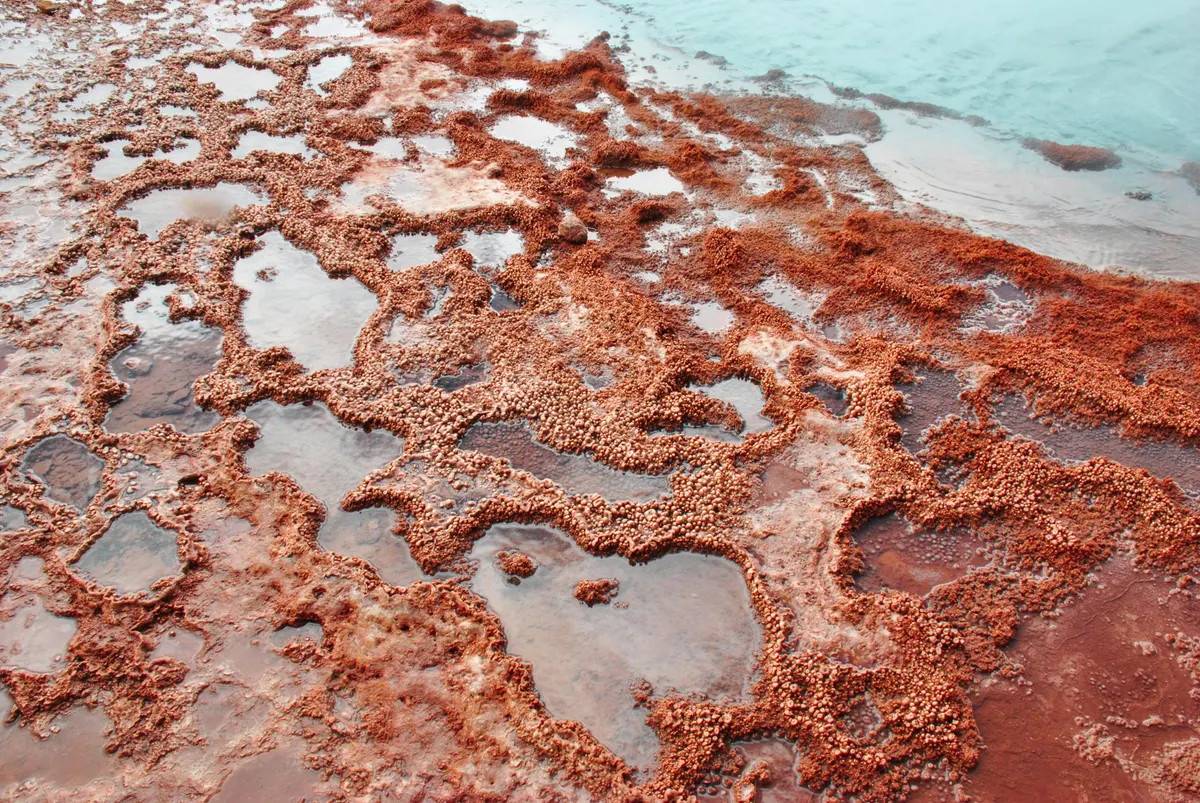 Astral Adventure in the Atacama Desert