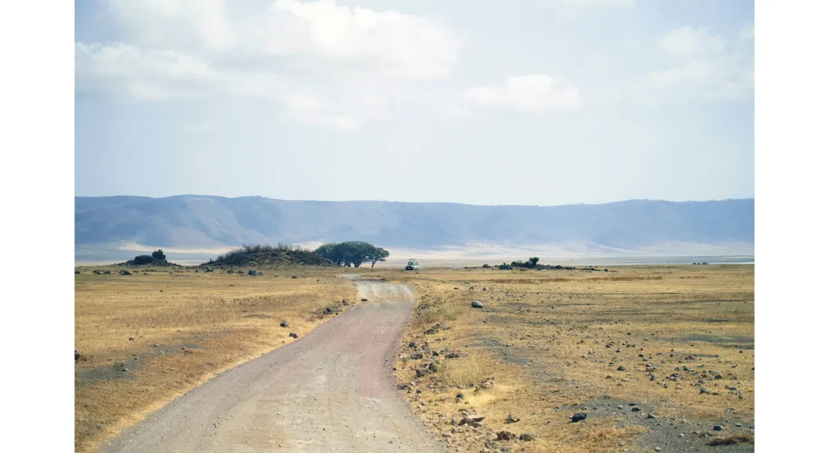 Tanzania Classic Safari