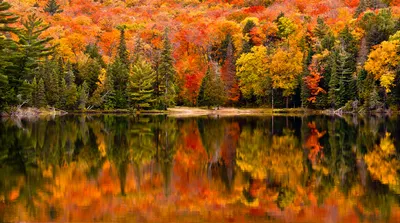 Ontario