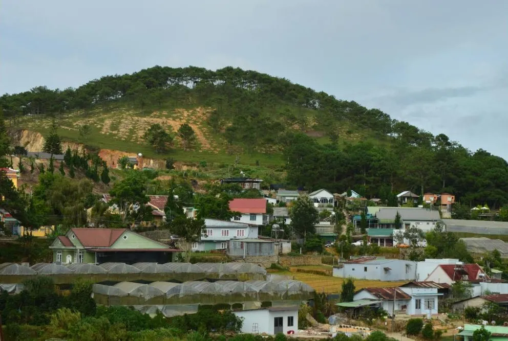 Saint Kitts & Nevis