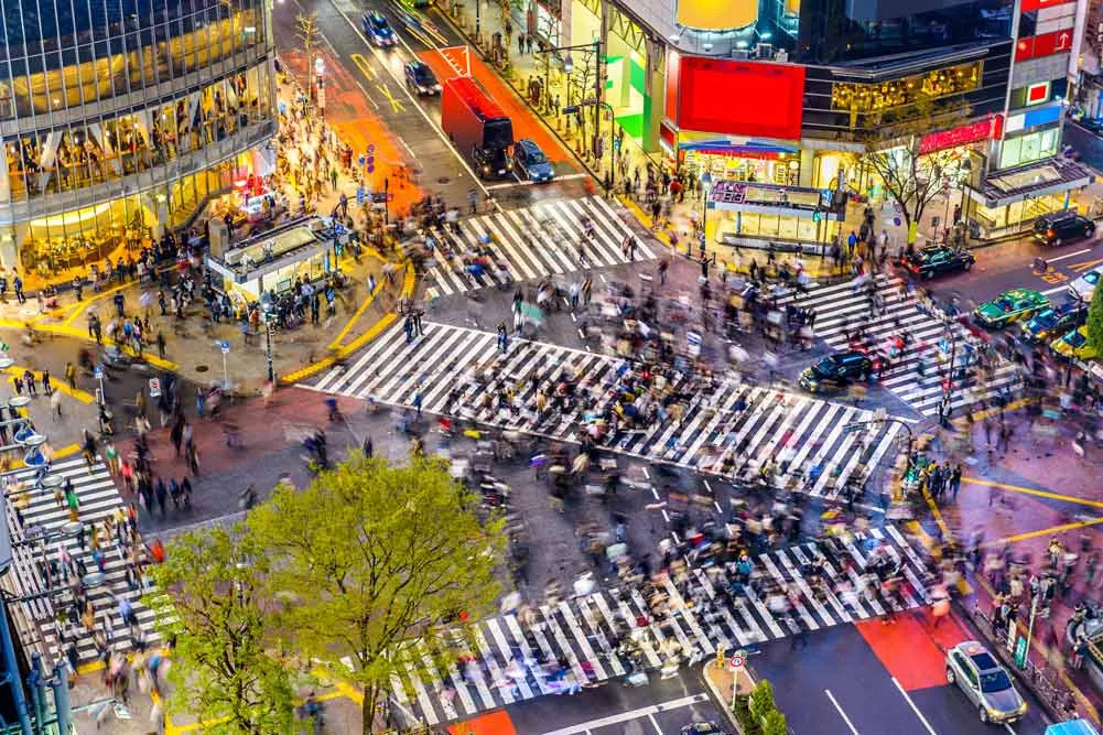 Tokyo Discovery