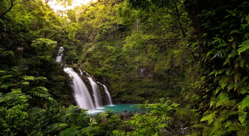 Maui Island
