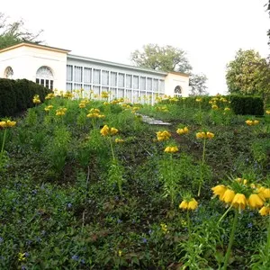 Burg Garden