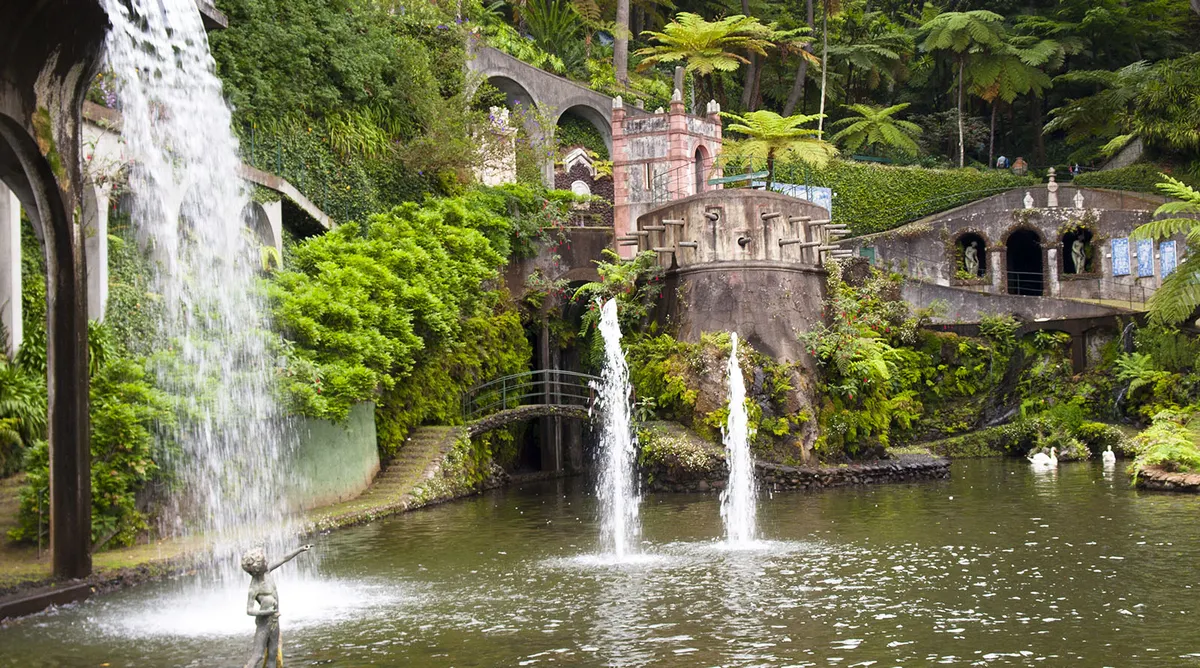 Madeira Island Escapade