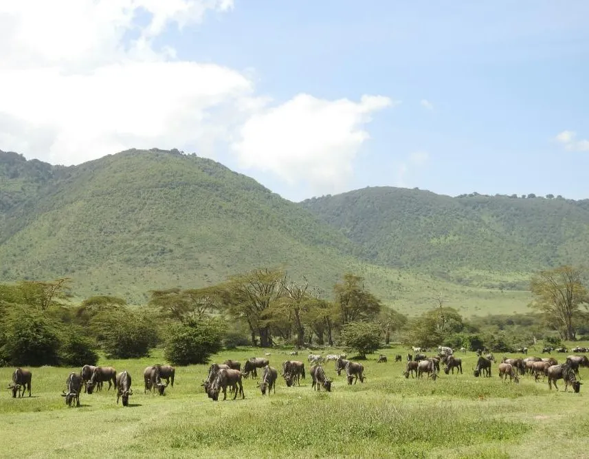 Bwindi by Air - photo 8