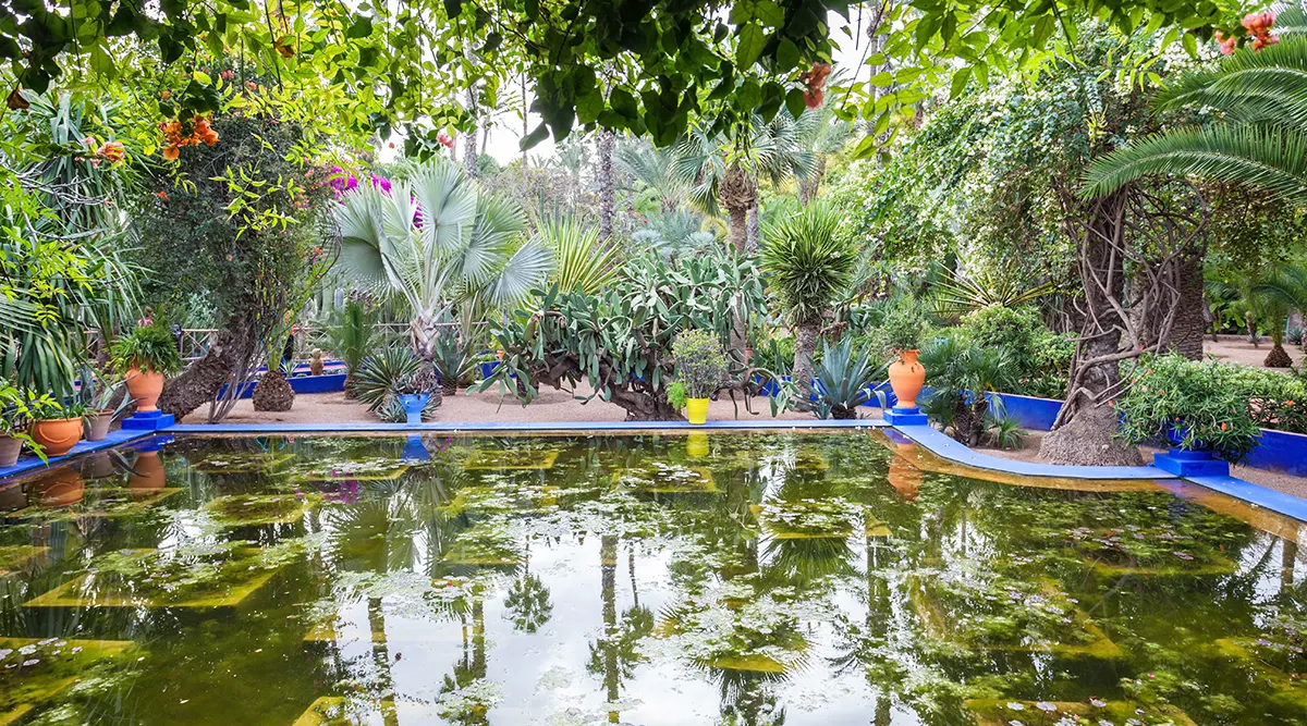 Marrakech Discovery
