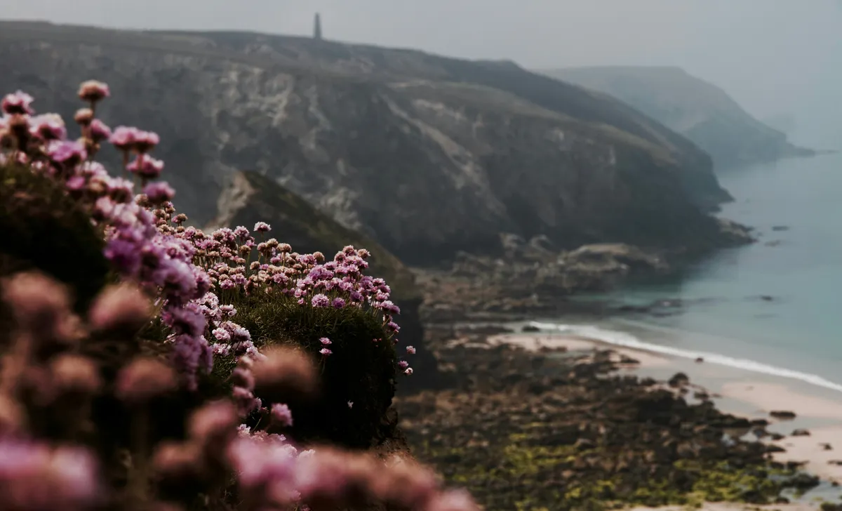 Great Rail Journey to Cornwall Aboard Britannic Explorer 