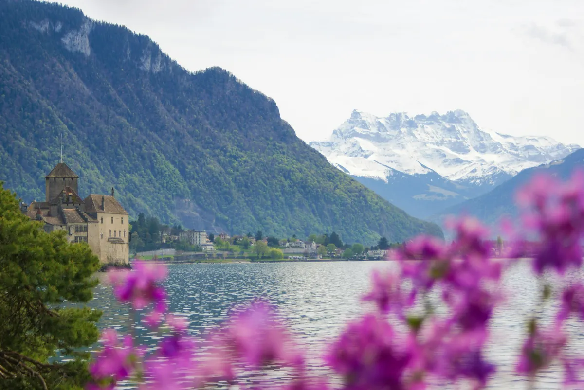 Switzerland's Winter Peaks Train Journey